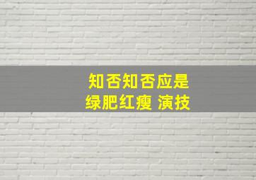 知否知否应是绿肥红瘦 演技